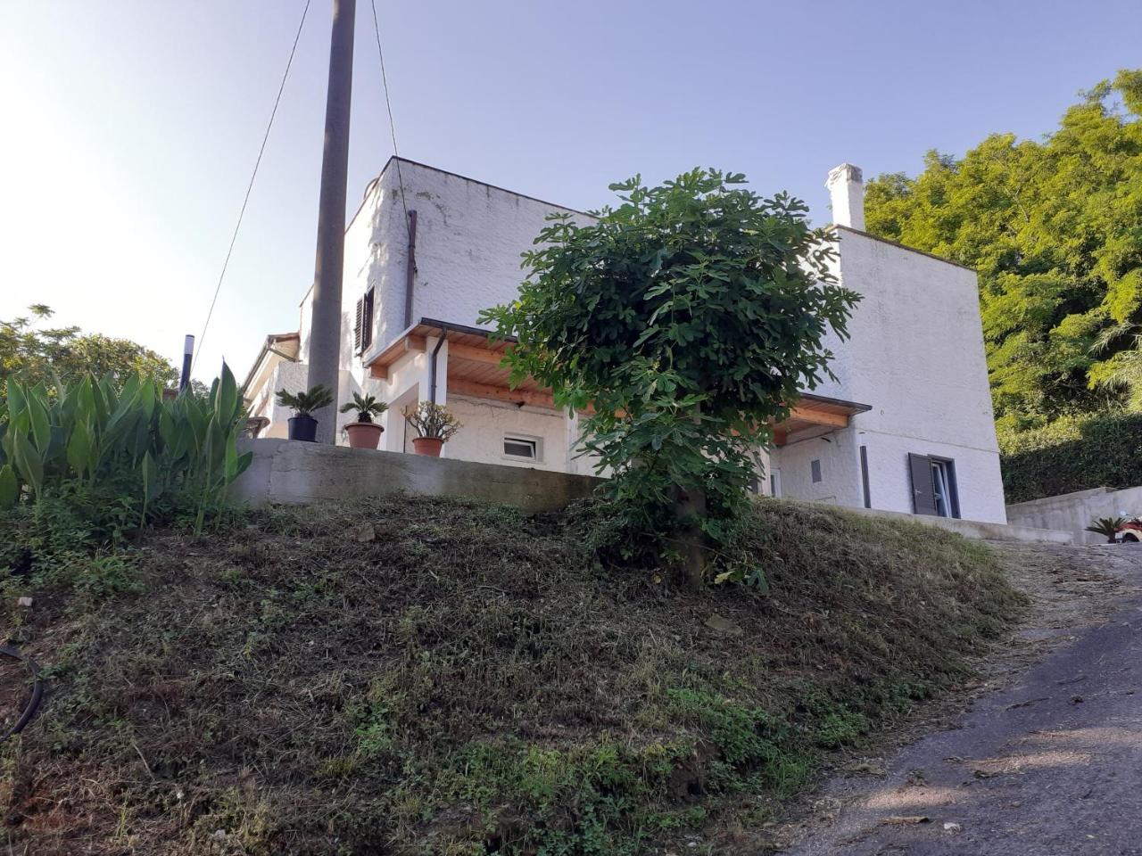 Residence LE DUNE - 6