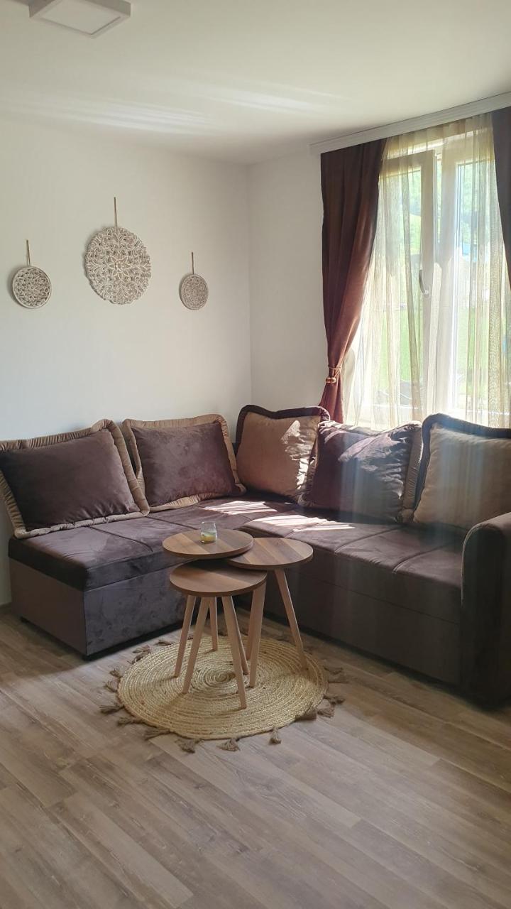 Guest house Vuk - 4