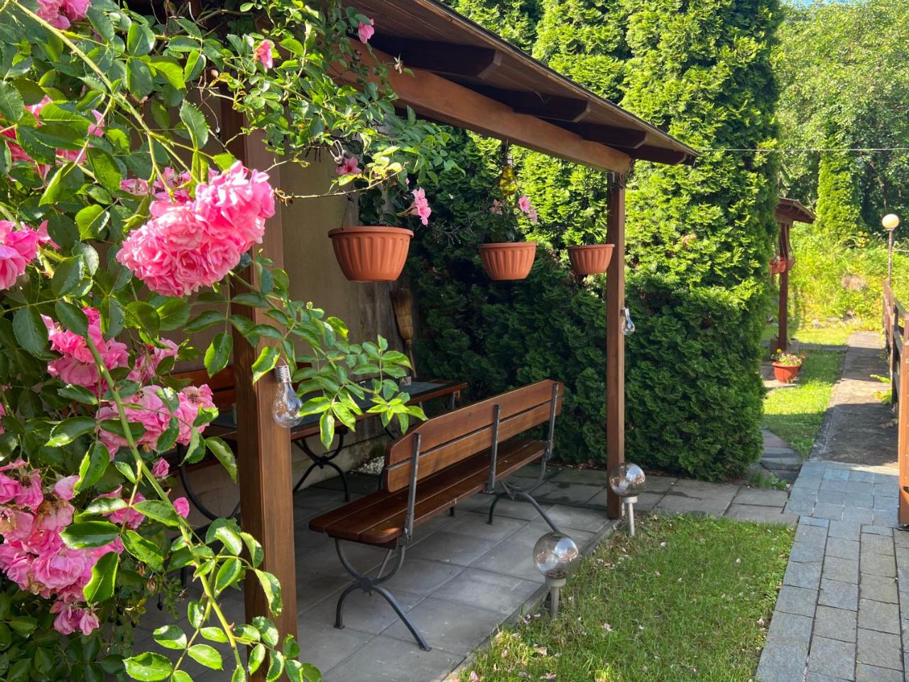 Casa Dan photo 3