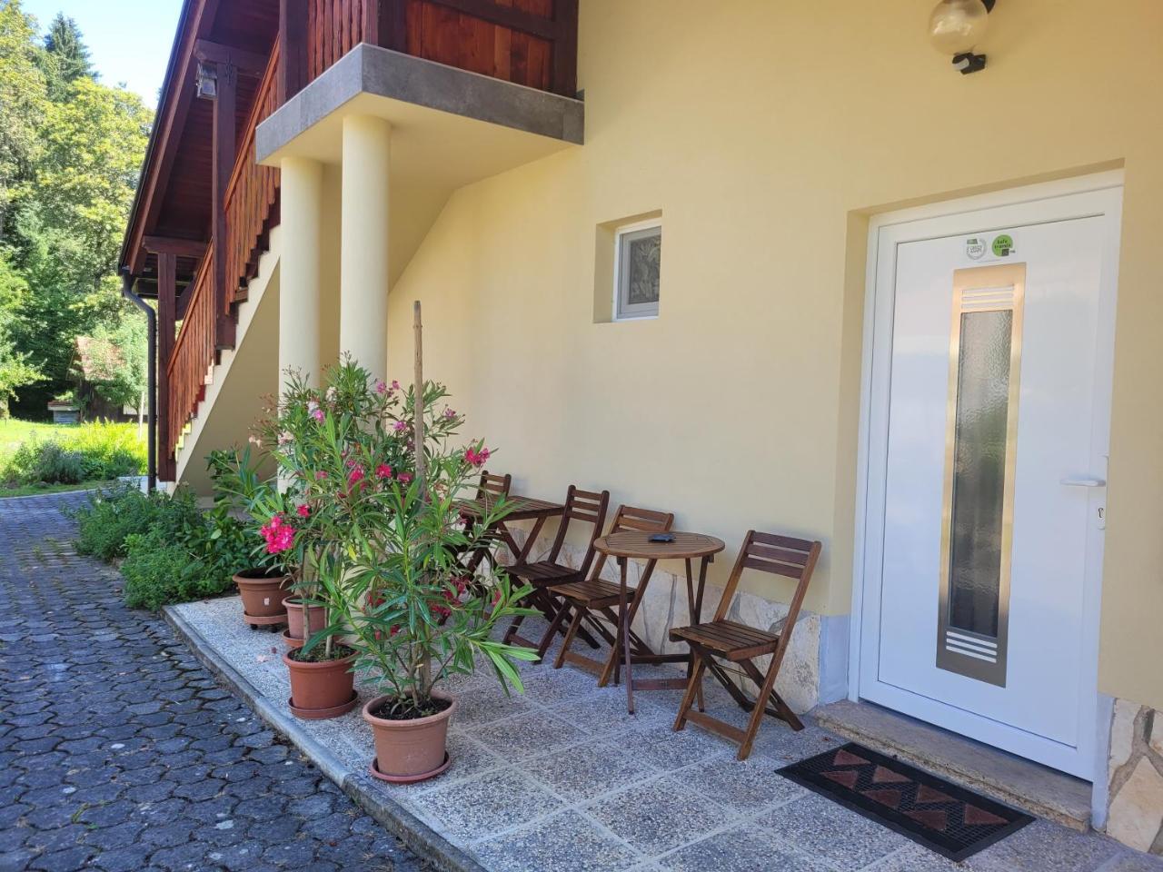 Apartma Lahinja - 4