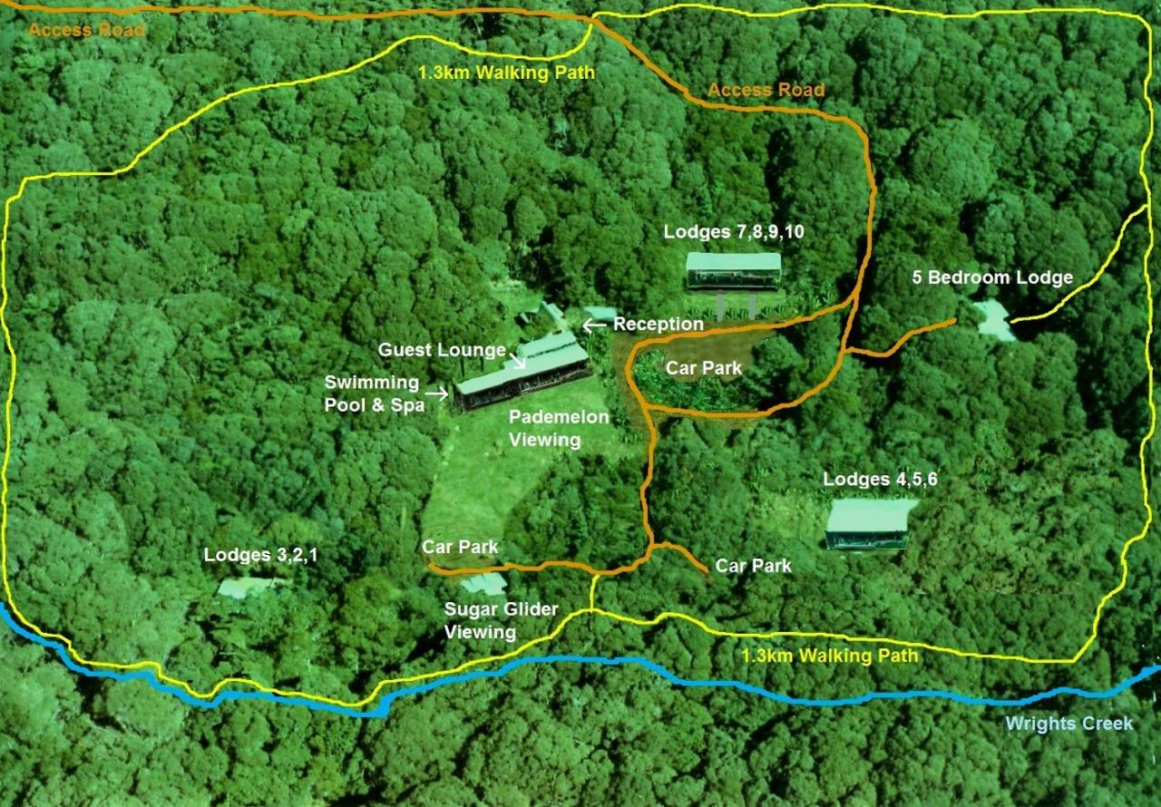 Chambers Wildlife Rainforest Lodges