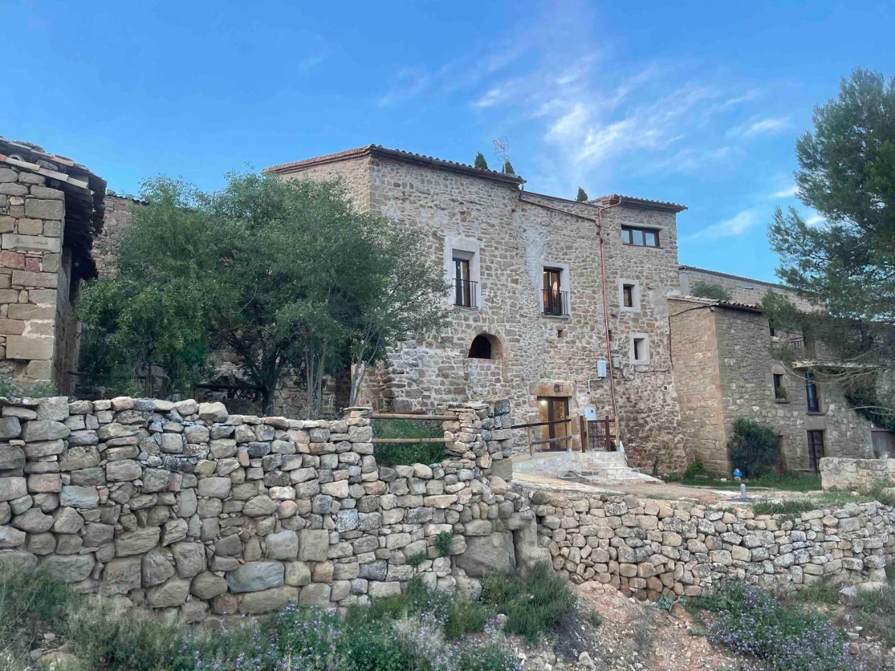 Castell de l'Aguda photo 2