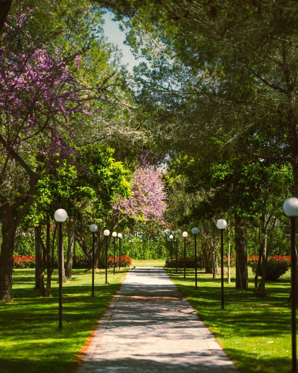 Green Park Divjake