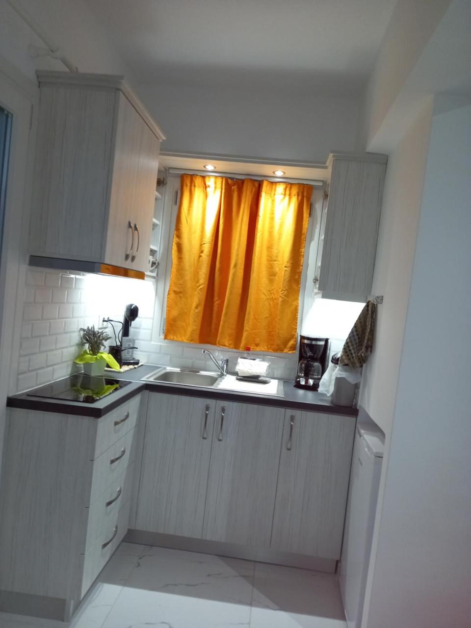 levante studios Αndros - 3