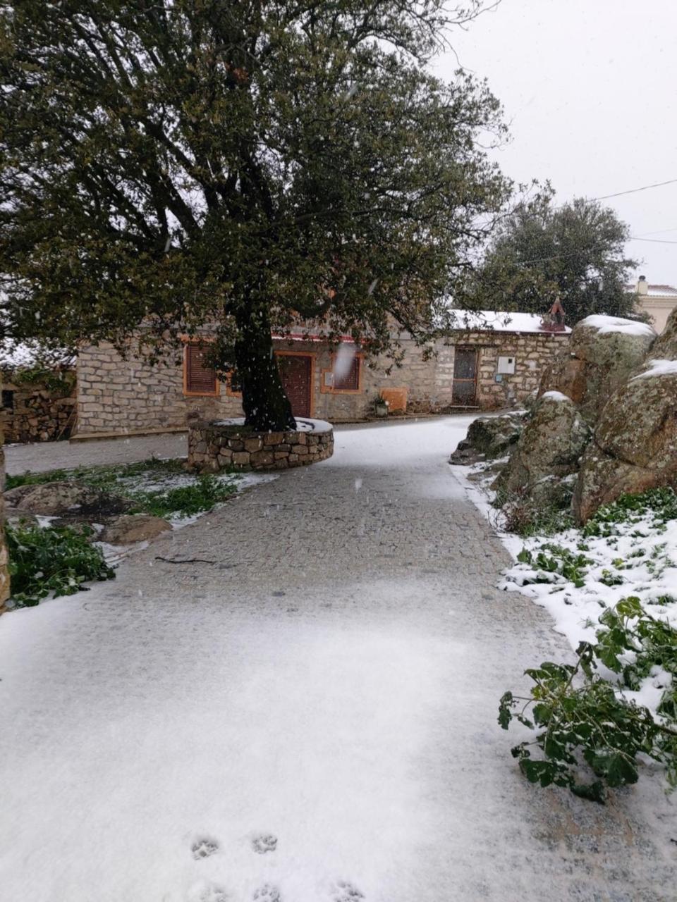 La Dimora degli Dei - 5