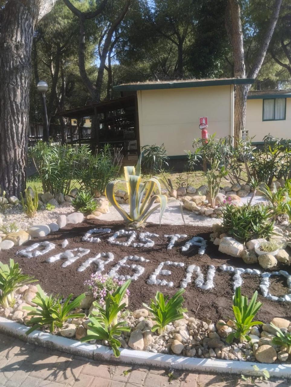 Villaggio Costa d'Argento photo 2