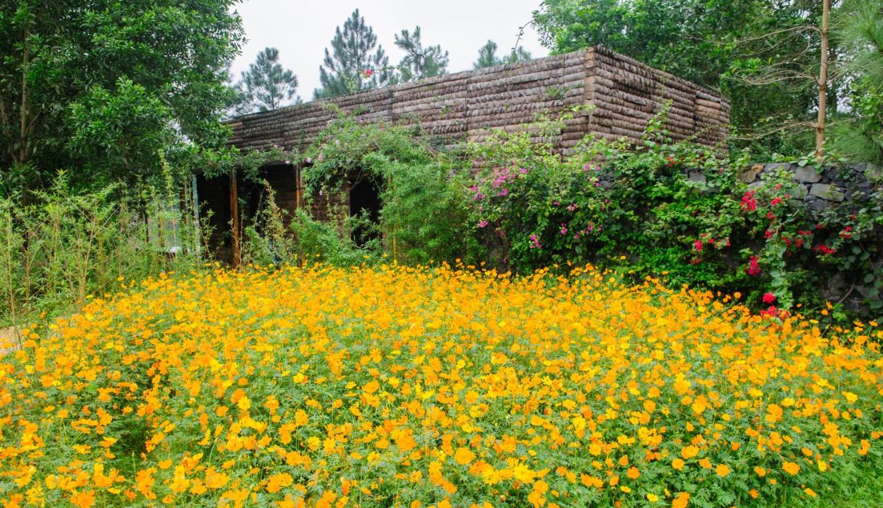 Flamingo Dai Lai Resort