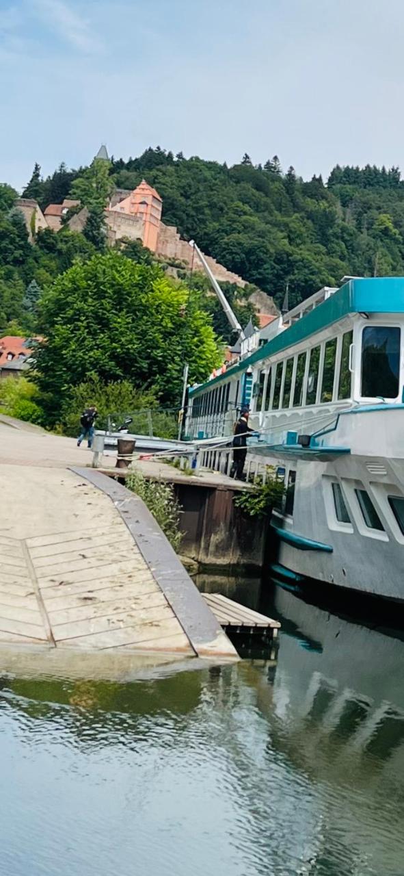 Natur und Neckarblick bei Heidelberg - 3