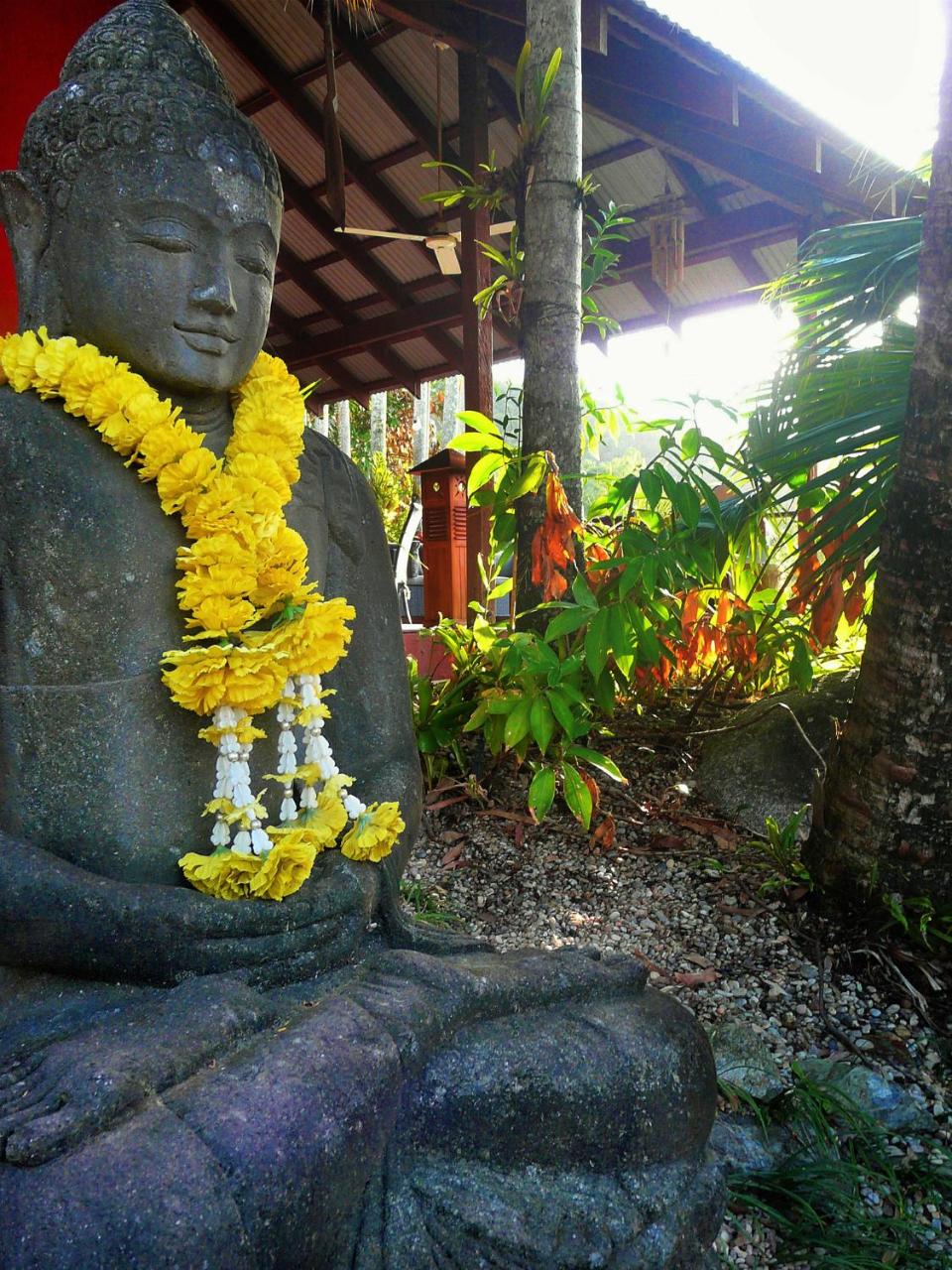Mai Tai Resort photo 4