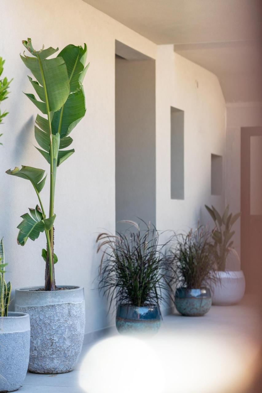 Villa Ilma Luxury Rooms - 6