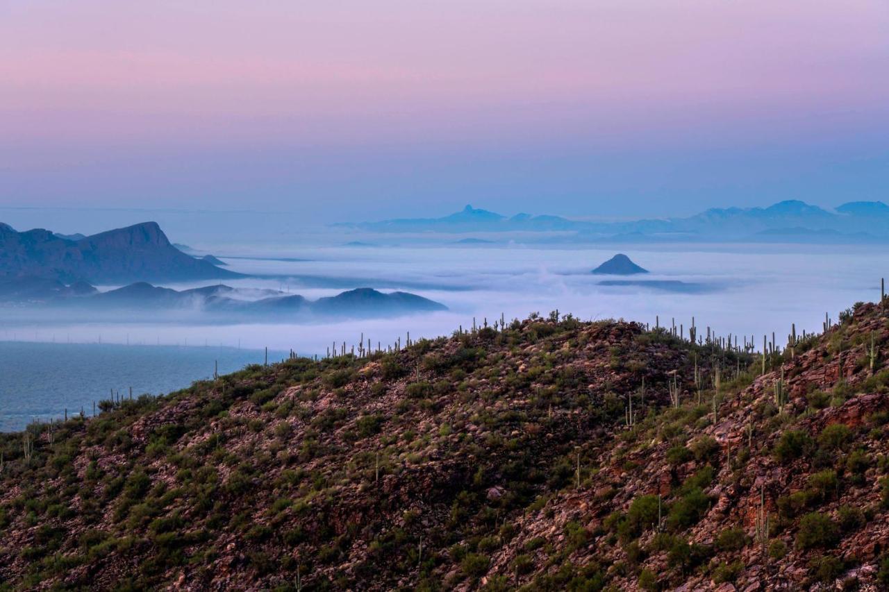 Foto - The Ritz-Carlton, Dove Mountain