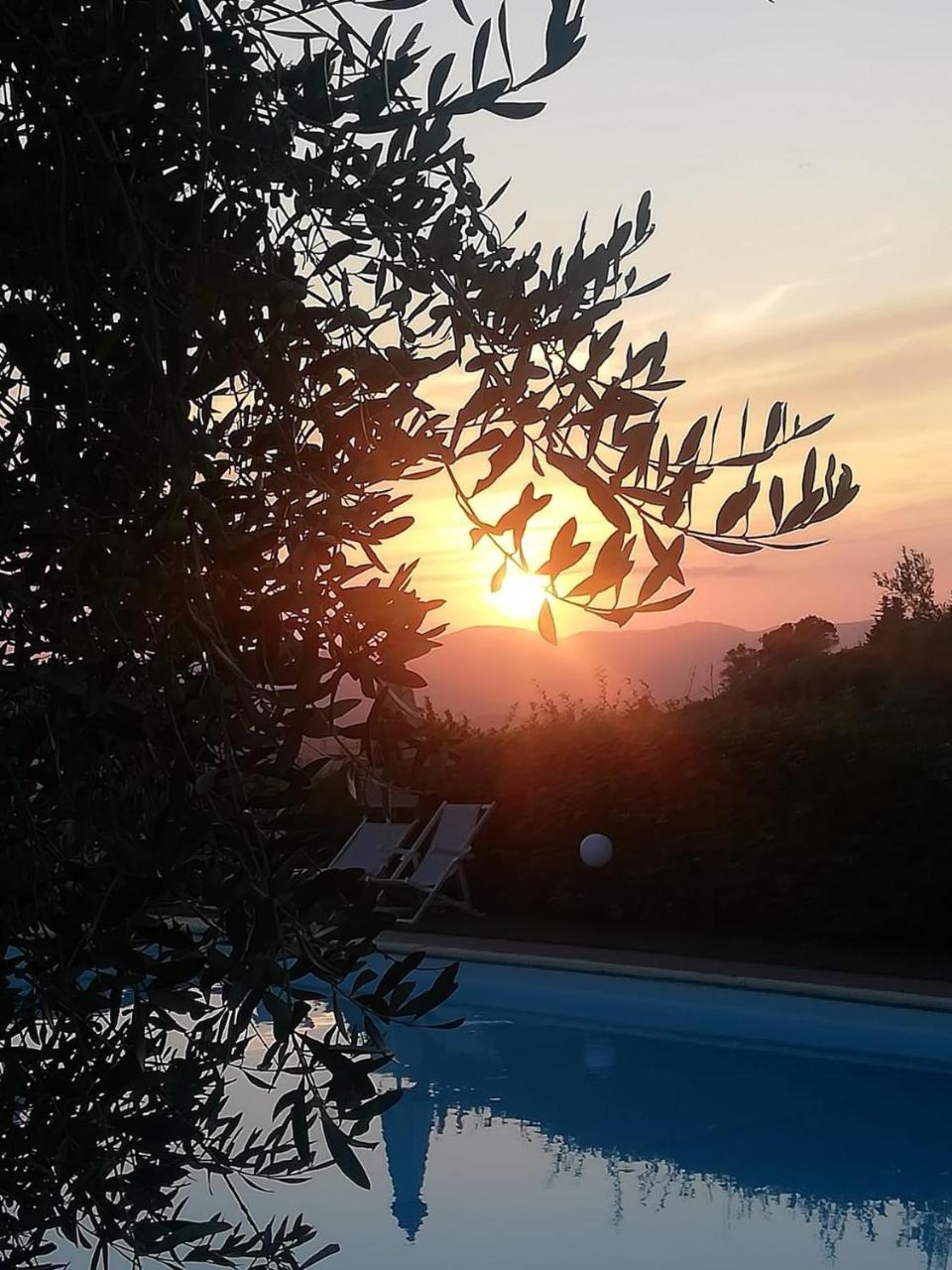 Glamping Tuscany - Podere Cortesi photo 4