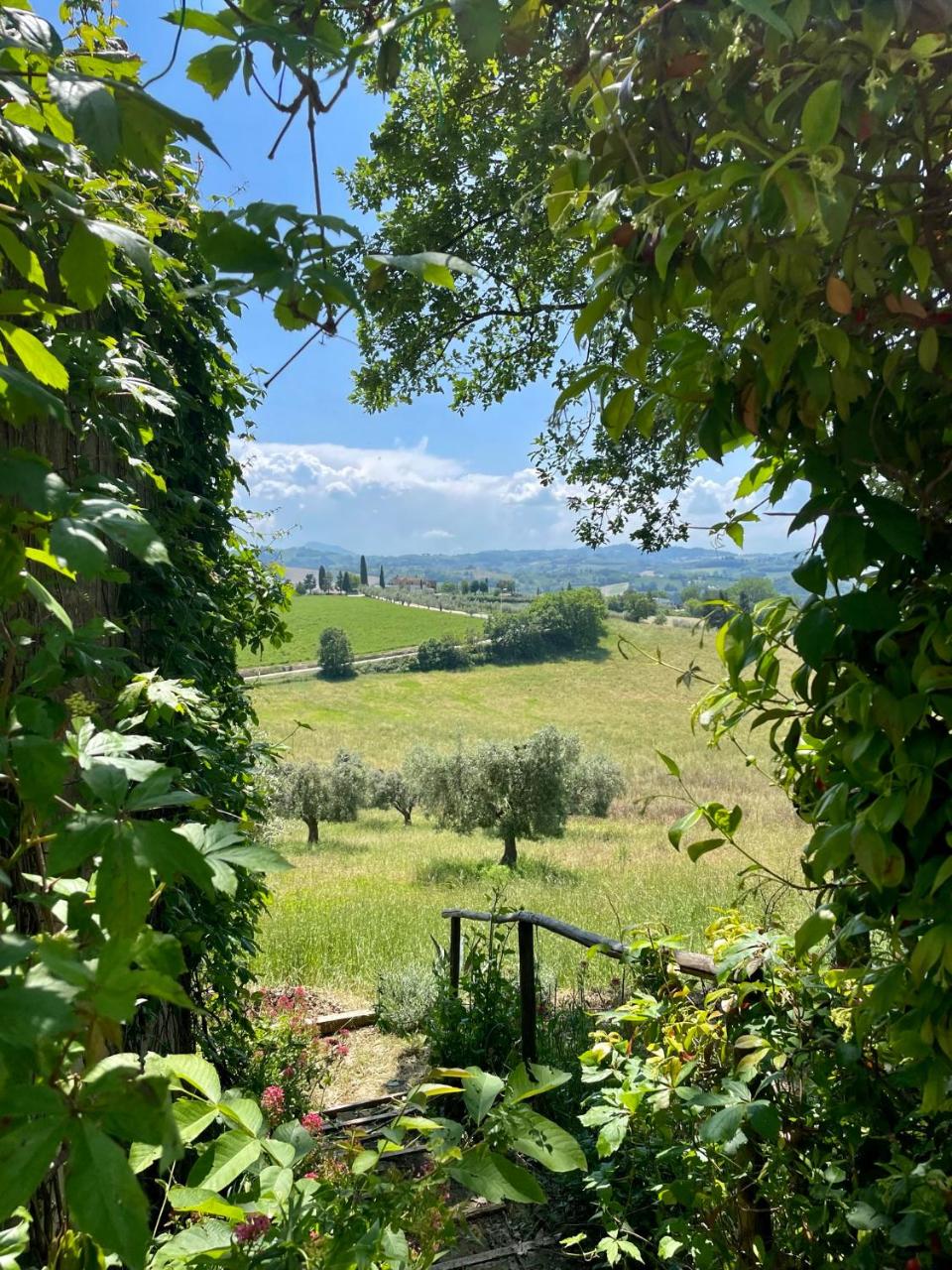 Countryhouse Montebello photo 2