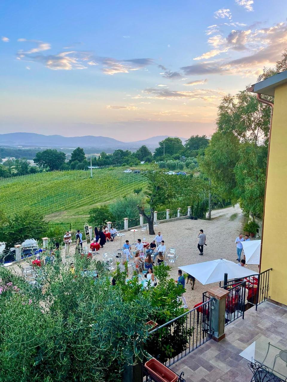 Donna Vittori - Borgo Agricolo - 6