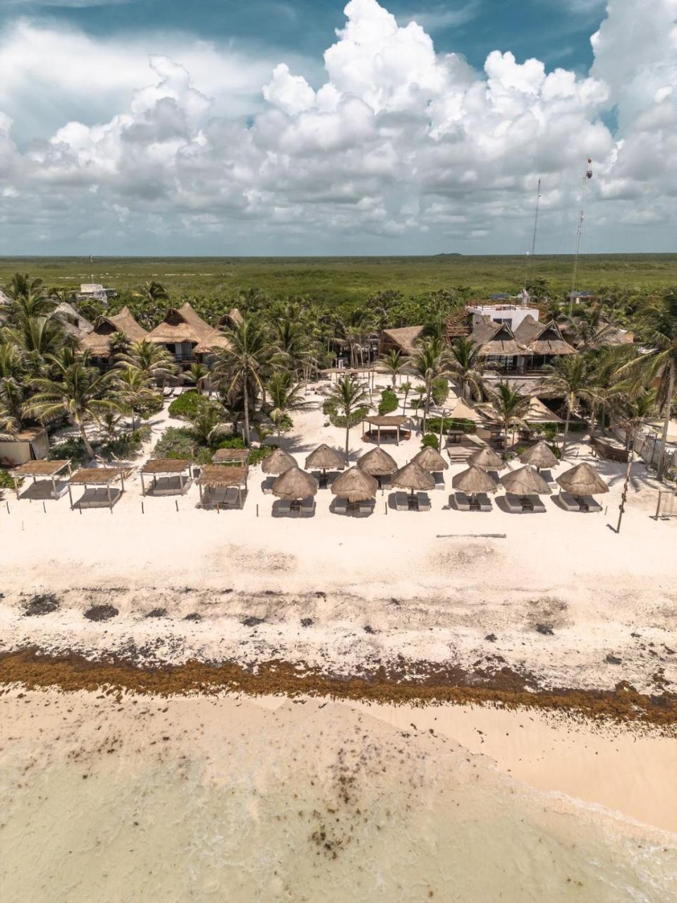 Niken Beachfront Tulum Hotel photo 3