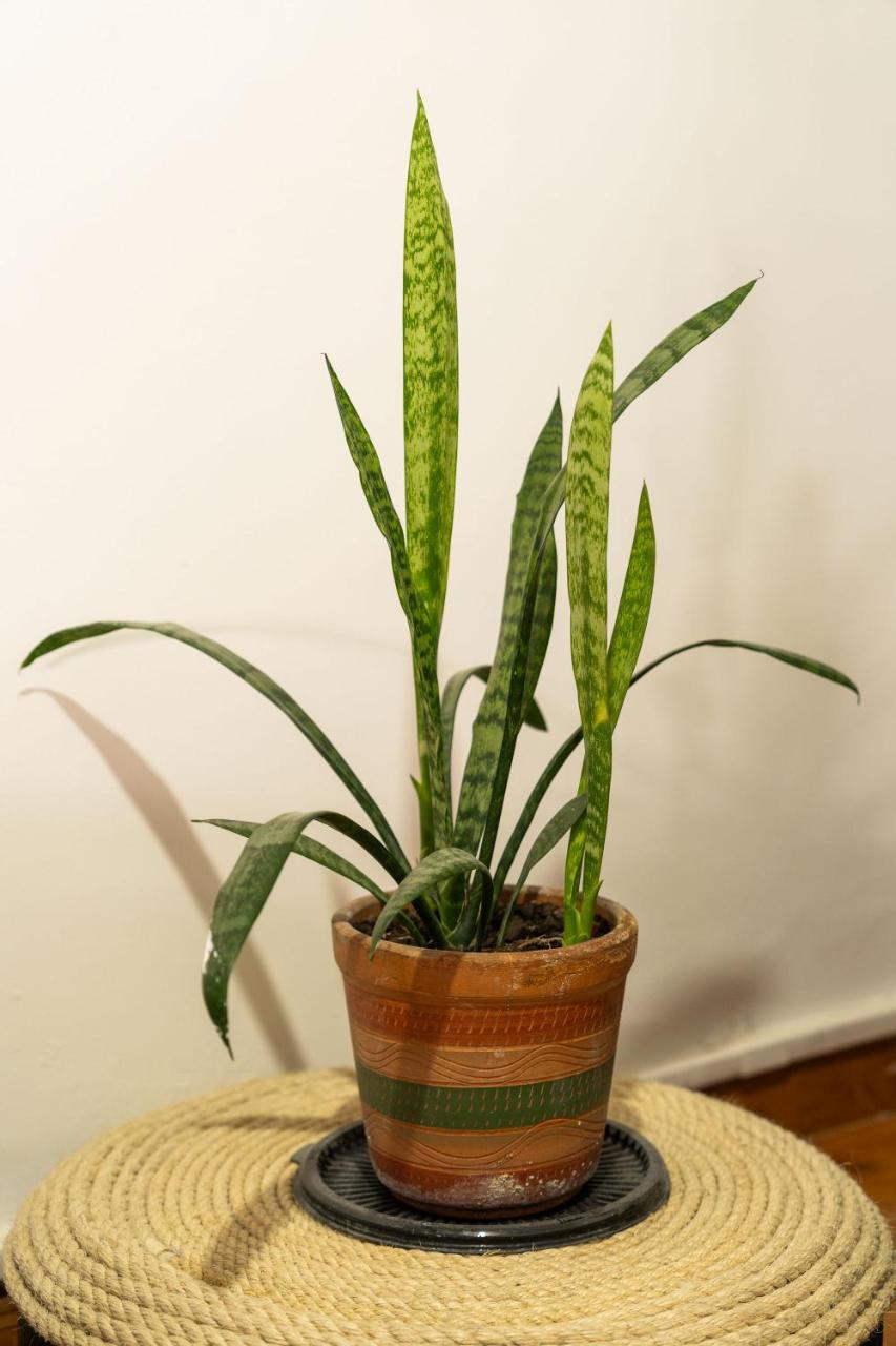 Merakihouse photo 4