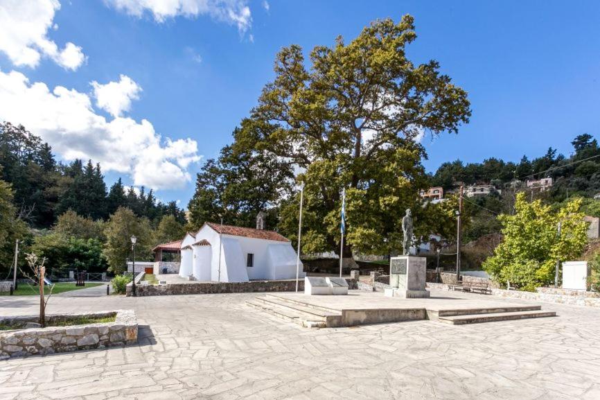 Ifigenia Theriso Village - 4
