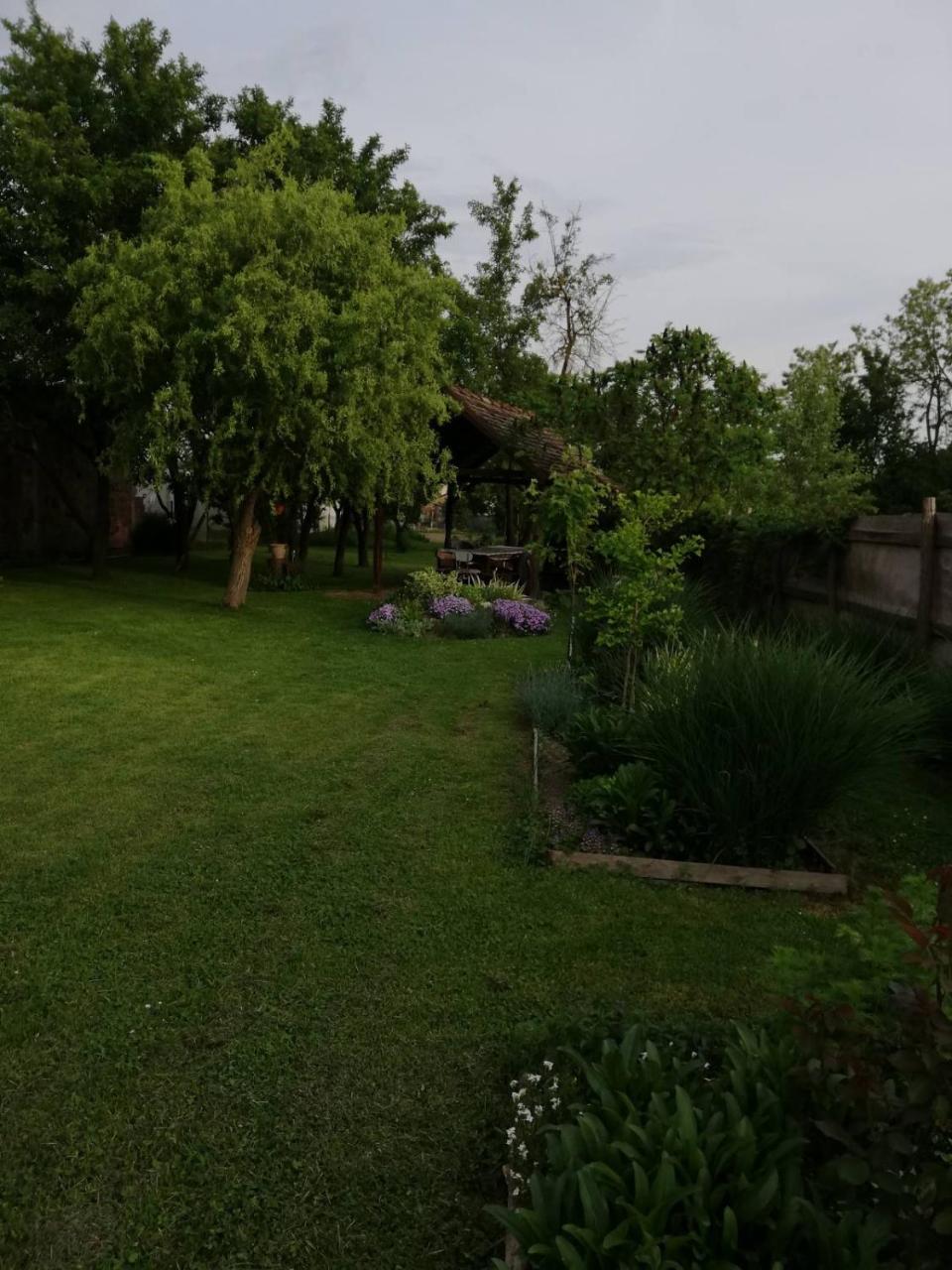 Studio apartman Vuković 4 zvjezdice - 6