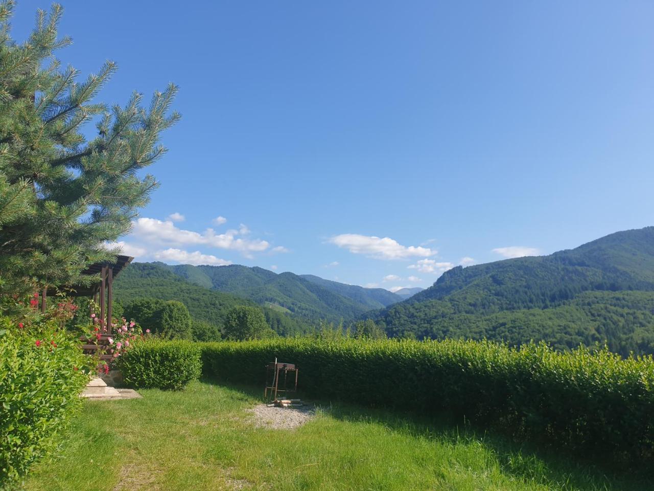 Valea Doamnei photo 2