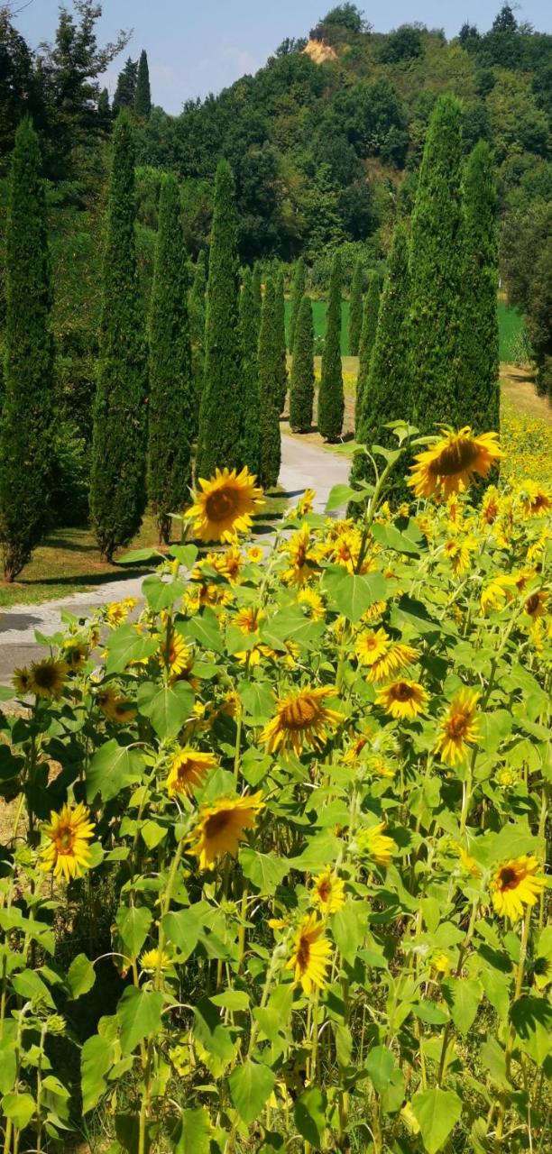 Agriturismo Cascina Cipressa photo 4