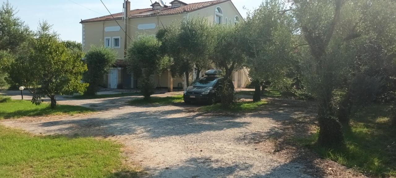 Antonios Olive Garden Acharavi Kerkyra - 3