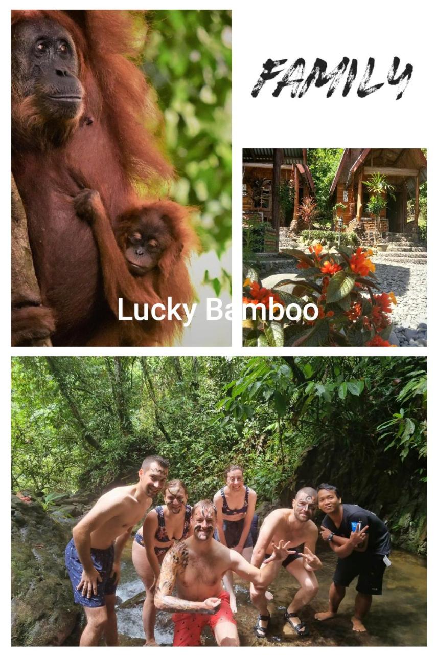 Lucky Bamboo'Bungalows and Orangutan Jungle Trekking Tours photo 4