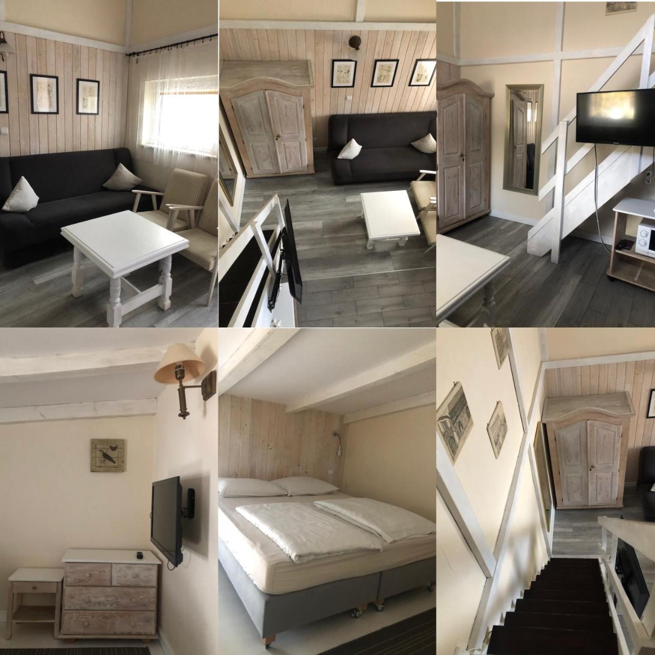 Villa Pod Orzechem w Zaniemyślu photo 4