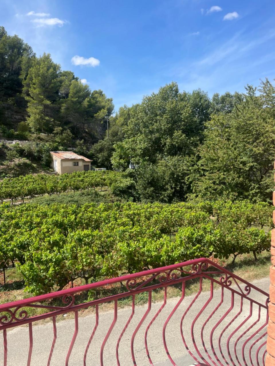 Appartement 1 chambre au milieu du vignoble de Gigondas - 3