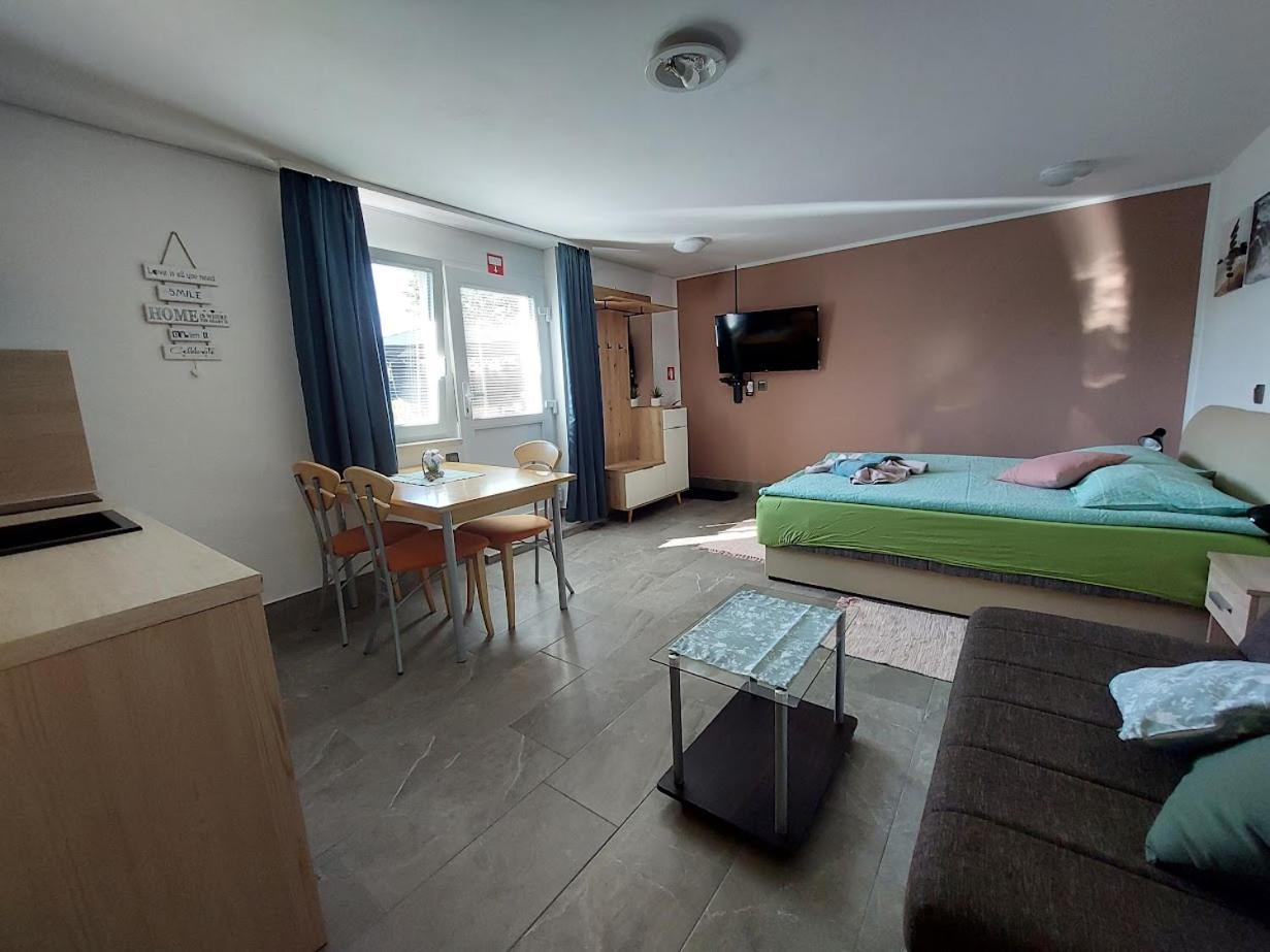Studio apartma Žirovnik - 5