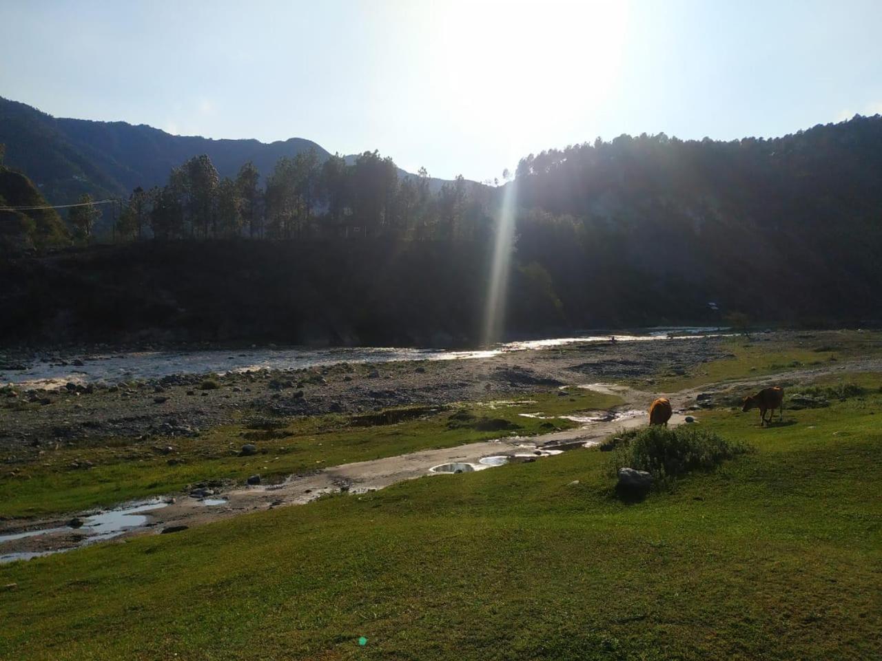 Yellow Valley Homestay photo 3