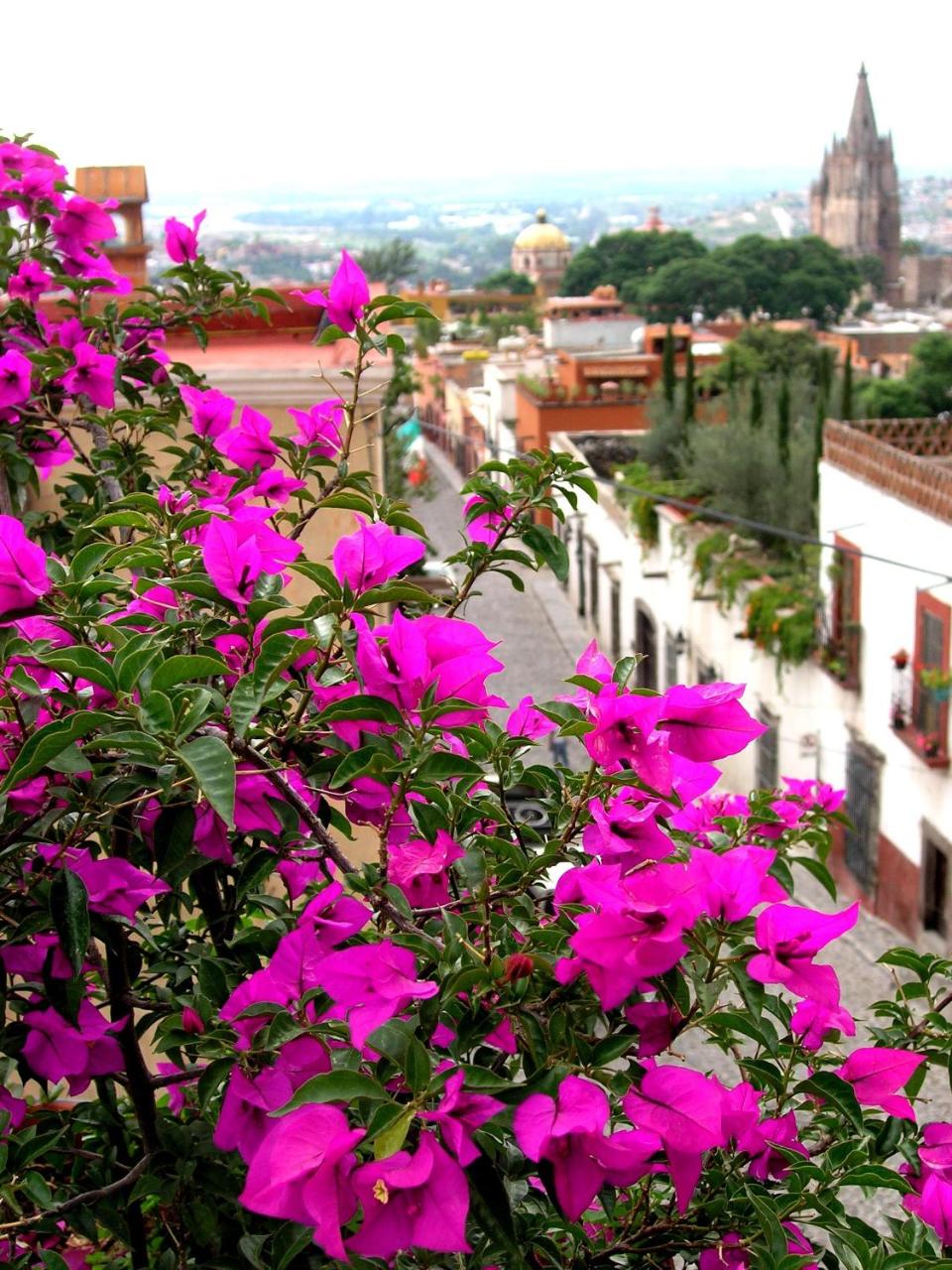 Casa Schuck Boutique Hotel photo 2