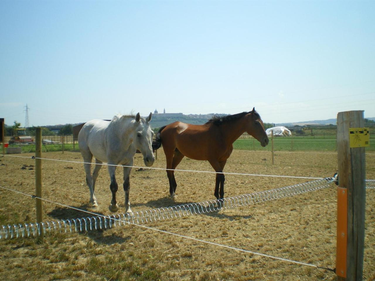 Conero Ranch photo 2