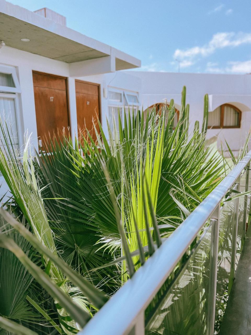 Foto - Hotel Puerto Chinchorro