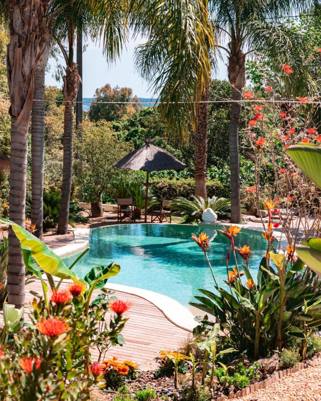 Cannes Villa St Barth - 6
