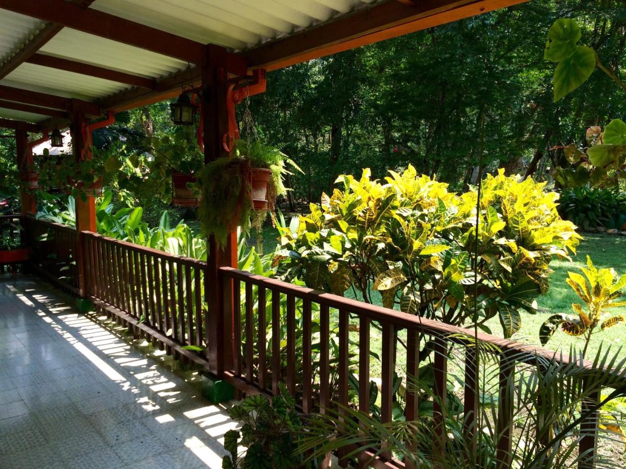 Finca Jerusalen photo 4