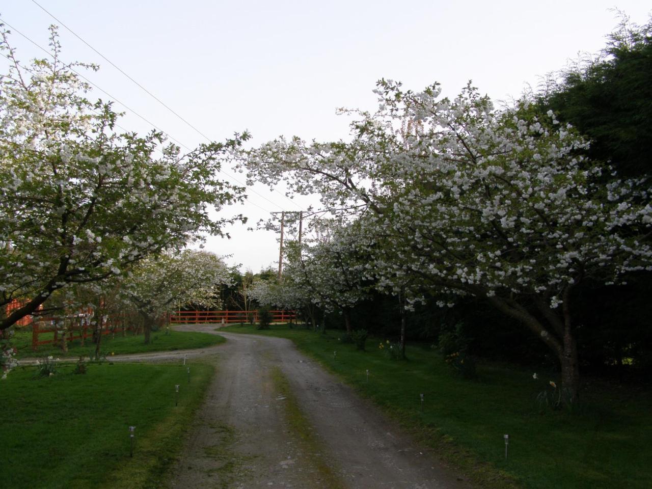 Killurin Lodge photo 2