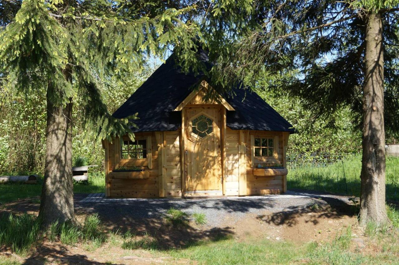 Kammbaude Neuhermsdorf - 6