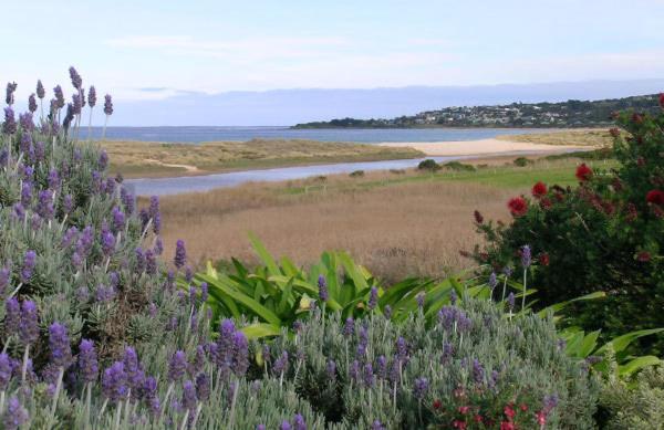 A Great Ocean View Motel photo 2