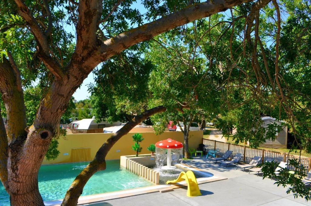 Domaine de la Palme photo 2