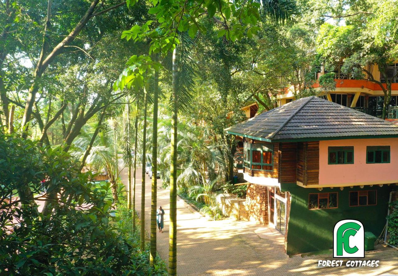 Forest Cottages photo 2