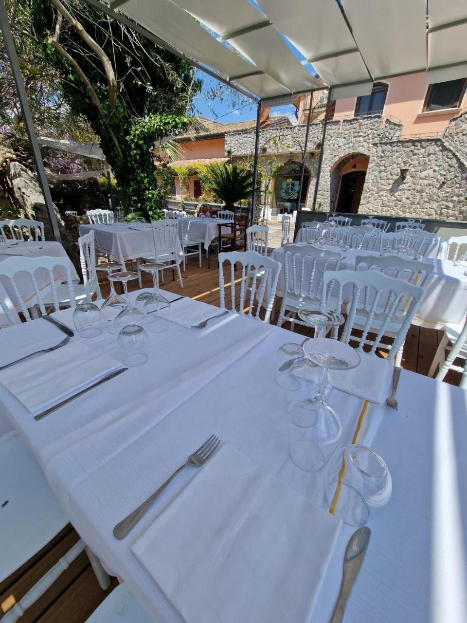 Tenuta Oliva photo 2
