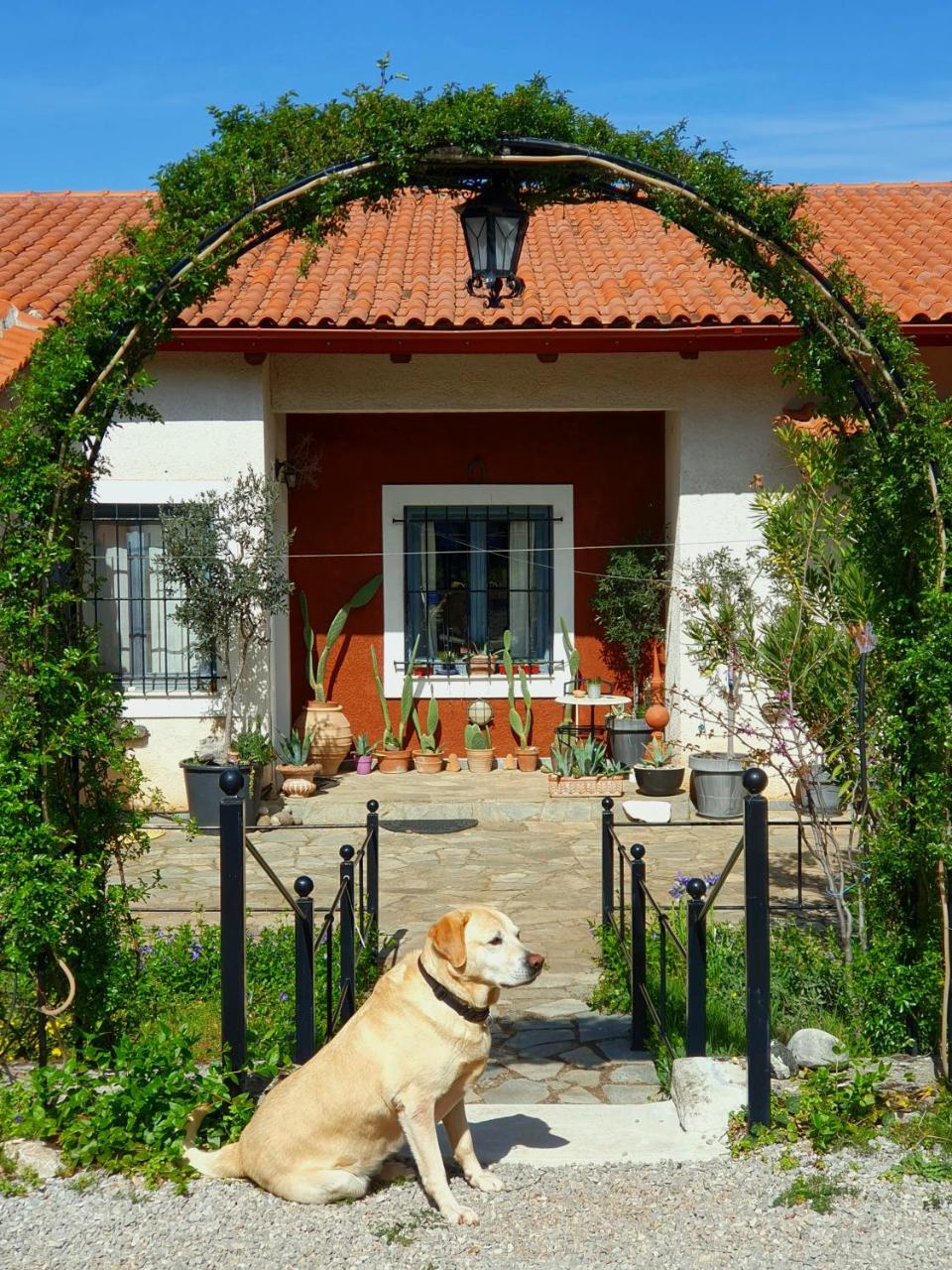 Helicon Muses Friendly Mountain B&B Guesthouse