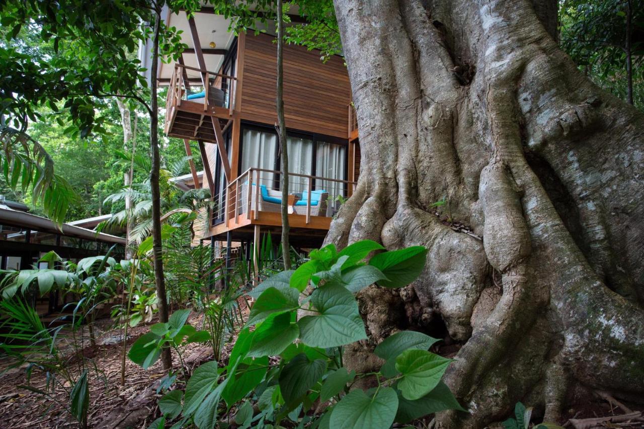 The Resort at Isla Palenque Member of the Cayuga Collection photo 3
