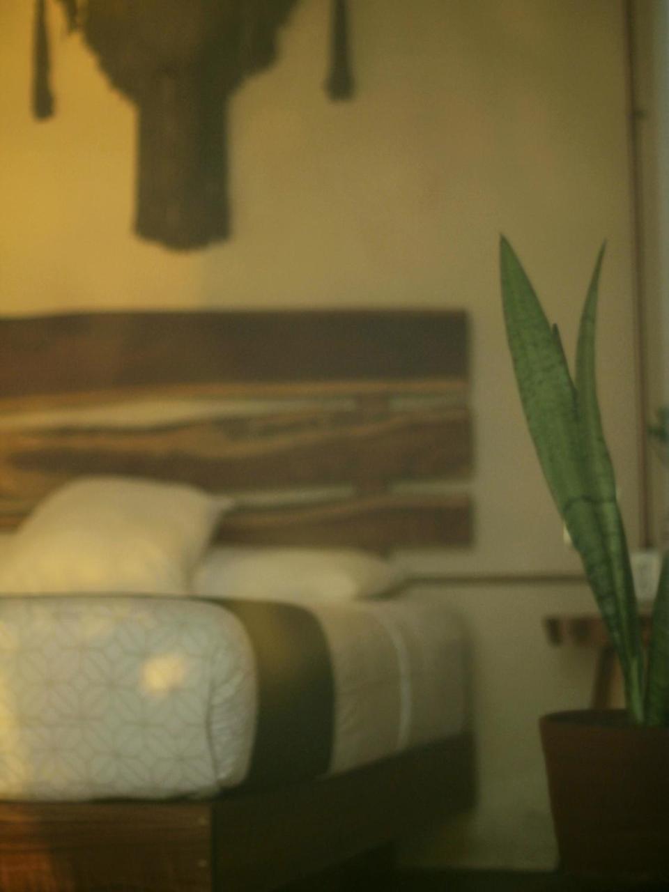 Tropic Bacalar photo 4