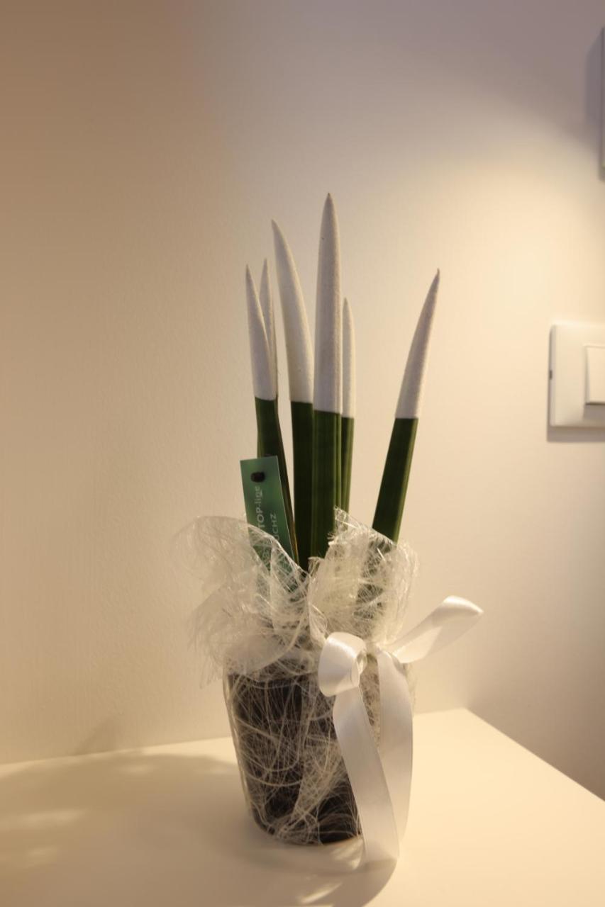 Ruffini Rooms - 5