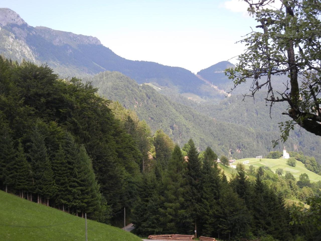Guesthouse Tolc photo 3