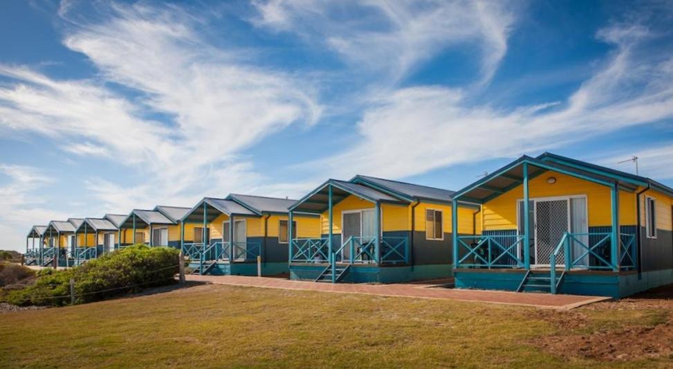 Dongara Tourist Park photo 3