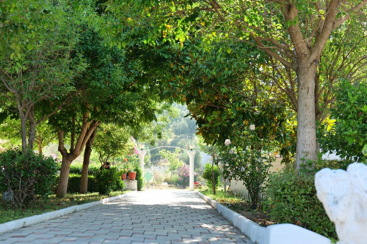 Edva Resort photo 2