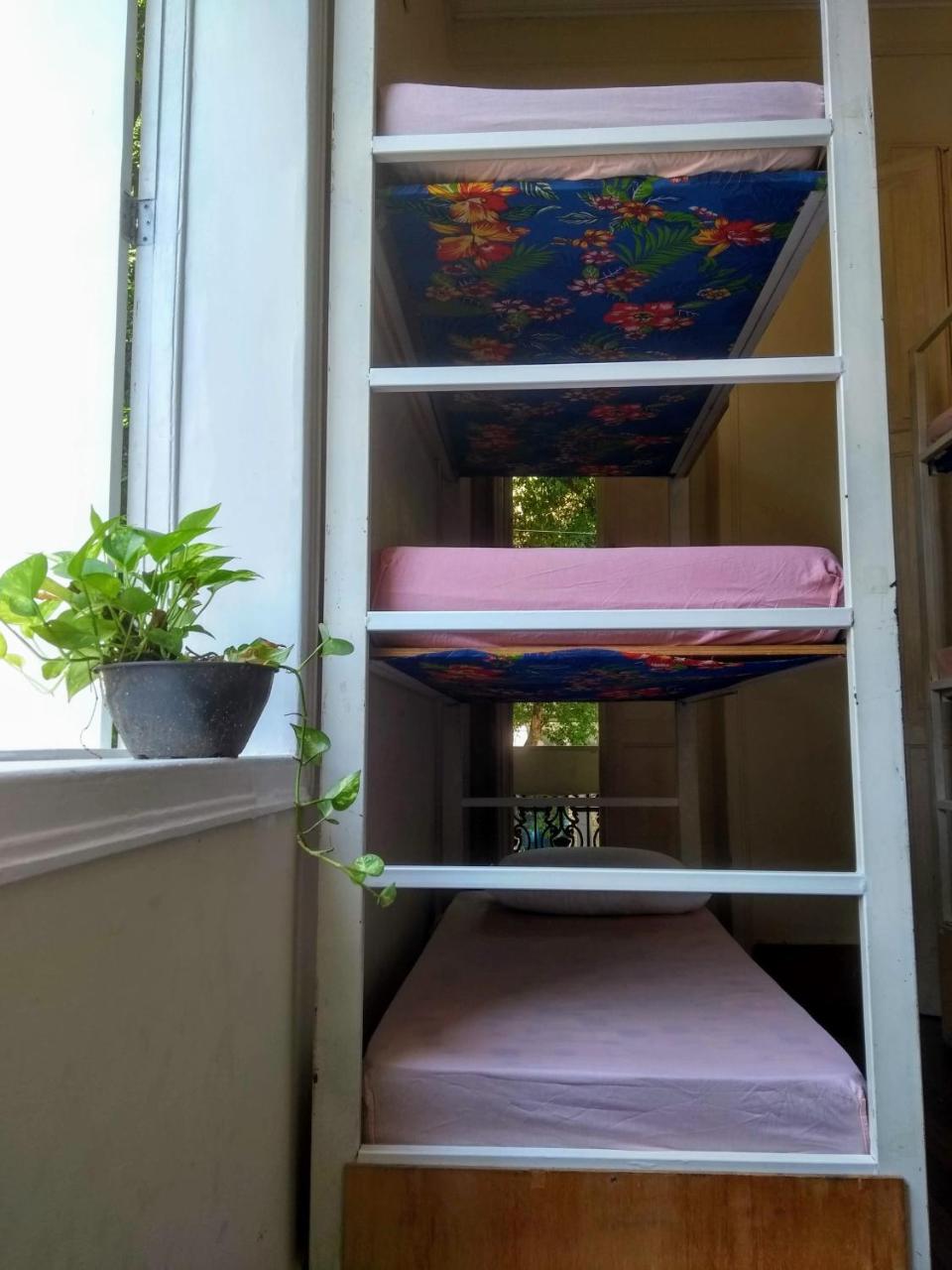 Photo - Lapa Casa