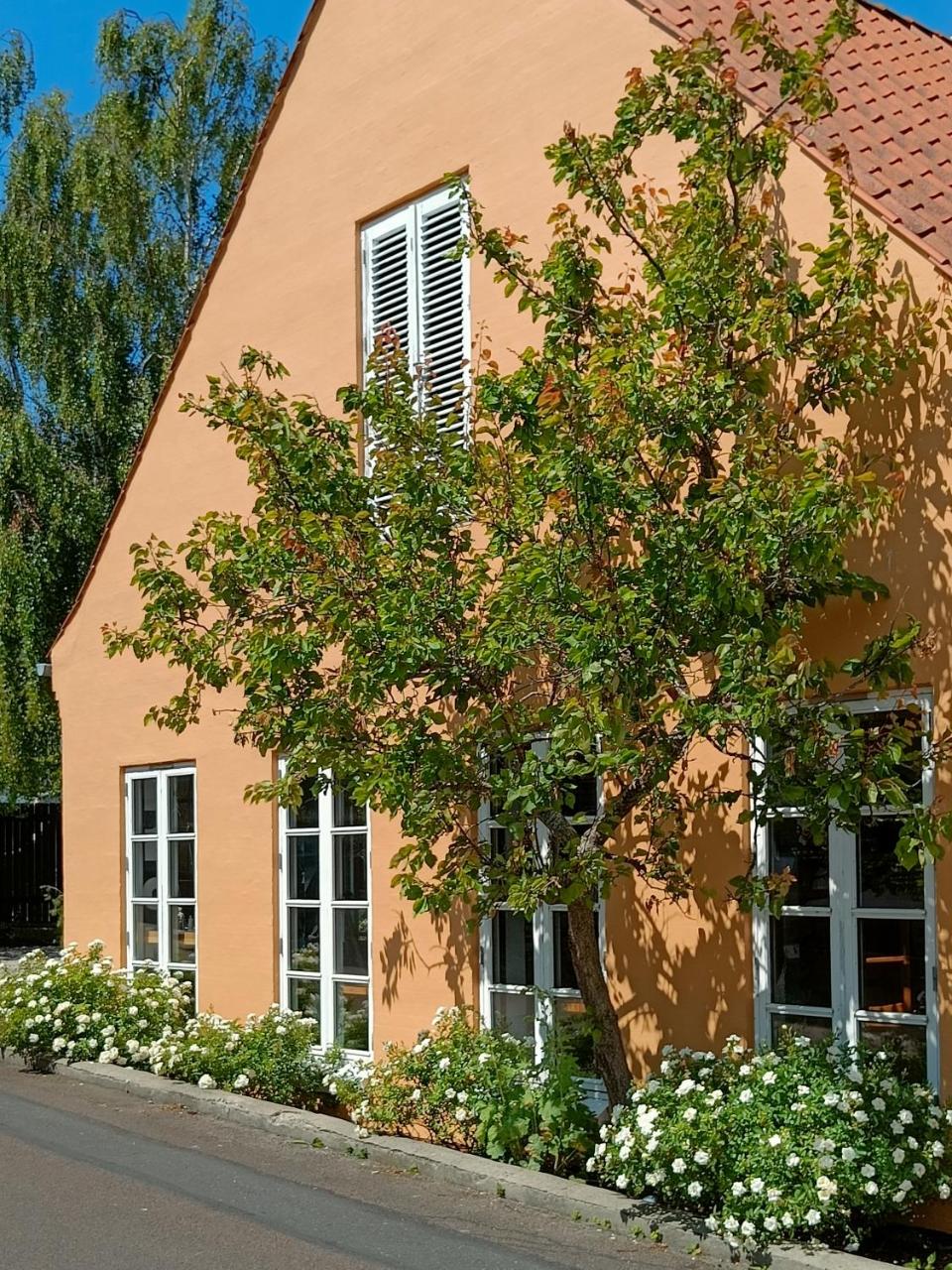 Aroma Guesthouse